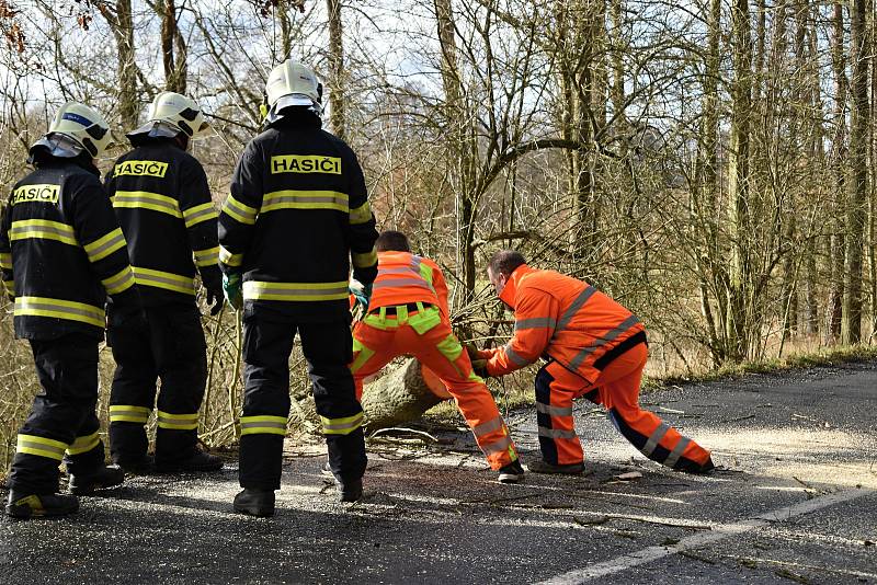 Rakovničtí hasiči v rozmezí několika minut museli odstraňovat dva padlé stromy u Senomat.