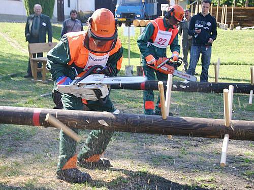 Dřevorubec junior Písky 2011