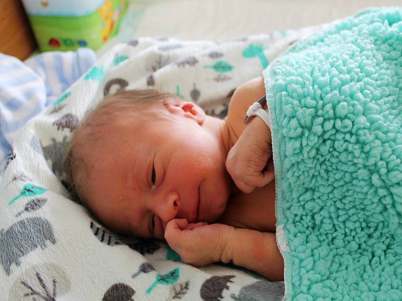 ALEKS GRUSSMANN, PRAHA. Narodil se 22. května 2019. Po porodu vážil 3,2 kg. Rodiče jsou Petra a Lukáš.