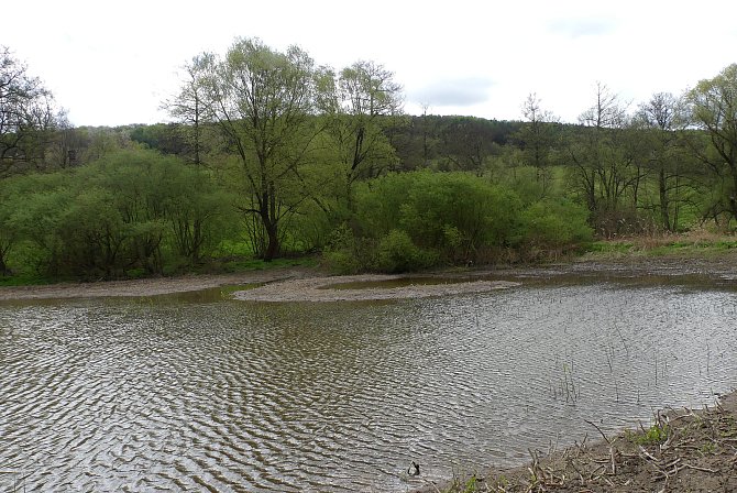 Nad Hájkovským rybníkem u Srbče vznikla nová tůň.