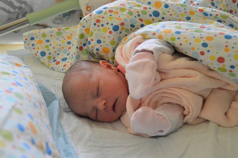 MARIE POHNÁNOVÁ, RAKOVNÍK. Narodila se 7. dubna 2019. Po porodu vážila 3,6 a měřila 51 cm. Rodiče jsou Veronika a Martin. Bratr Nicolas a Philip.