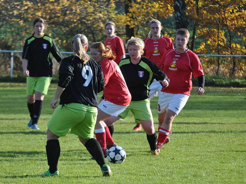 Lvice porazily Libušín 5:0