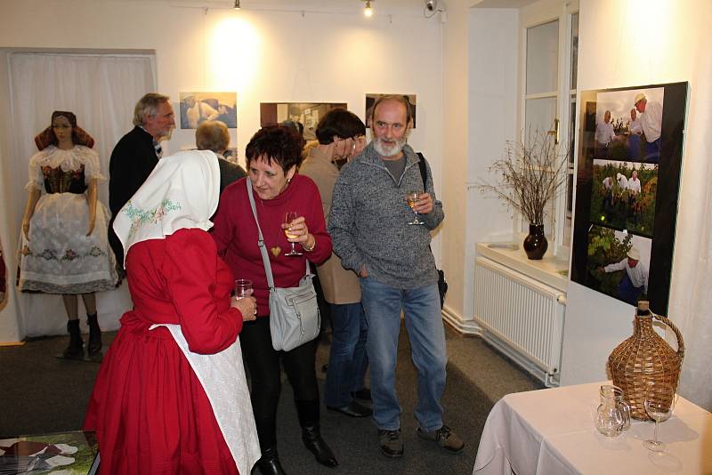 Slavnostní zahájení výstavy Krása stáří - všední život vinařské obce Kobylí.