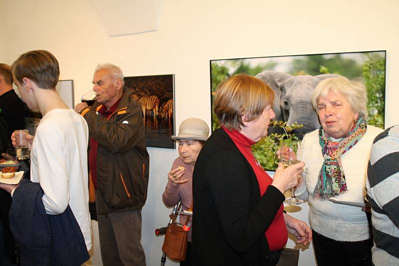 V Rabasově galerii v Rakovníku byla zahájena výstava Afrika ještě žije.