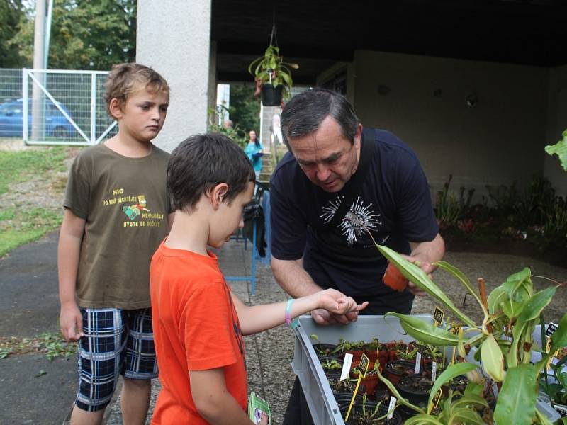 Výstava nasožravých rostlin na botanické zahradě