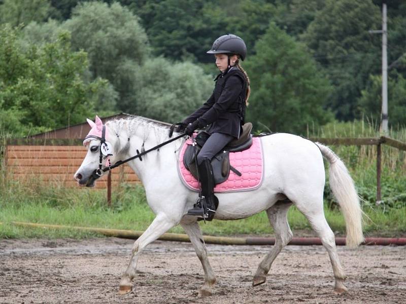 Národních soutěží Working Equitation ve Rtyni nad Bílinou se zúčastnili i koně a jezdci hředelského Jezdeckého klubu Spongilit.