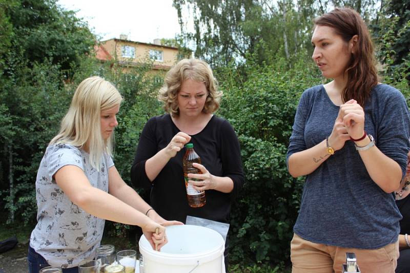 Levné a snadno dostupné ingredience, jednoduchý postup a radost z vlastní tvorby. To všechno navíc s ohledem na přírodu. Právě takový byl sobotní workshop o ekologických prostředních do domácnosti.