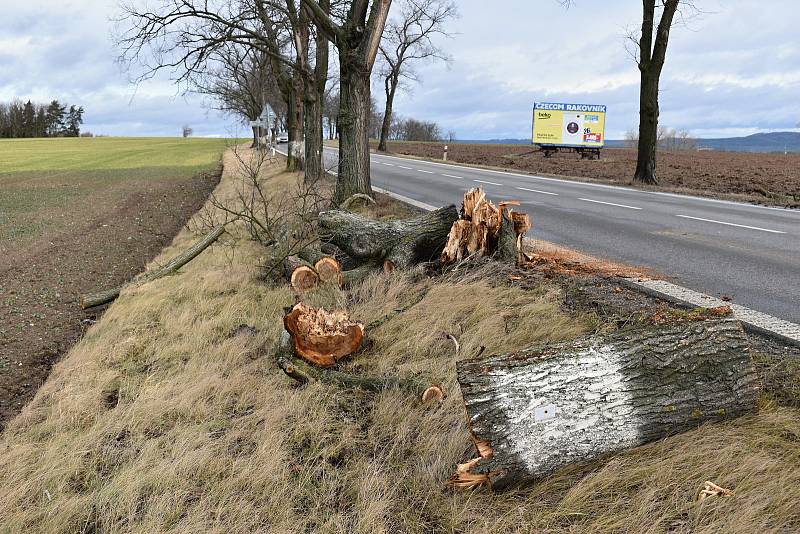 Většinu silnic zasypaly popadané větve, podobně jako v lokalitě zvané Huřviny