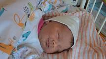 ADÉLA MAIEROVÁ, RAKOVNÍK. Narodila se 15. července 2019. Po porodu vážila 2,7 kg a měřila 47 cm. Rodiče jsou Ivana a David. Bratr Adam.