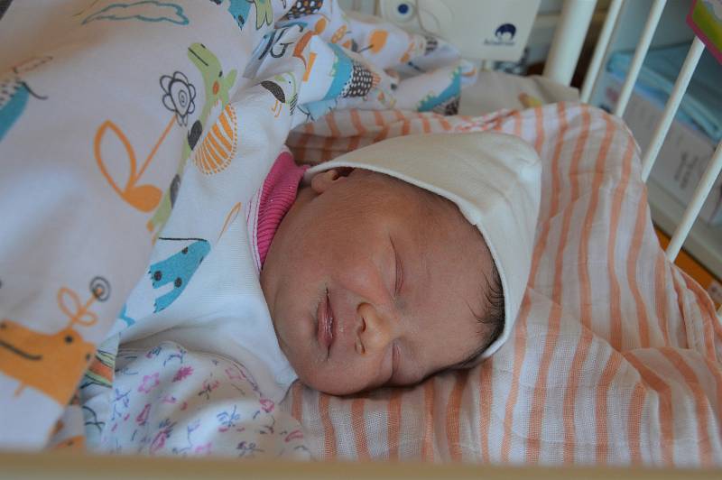 ADÉLA MAIEROVÁ, RAKOVNÍK. Narodila se 15. července 2019. Po porodu vážila 2,7 kg a měřila 47 cm. Rodiče jsou Ivana a David. Bratr Adam.