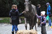 Odhalení soch koní v ulici Na Sekyře v Rakovníku 2016