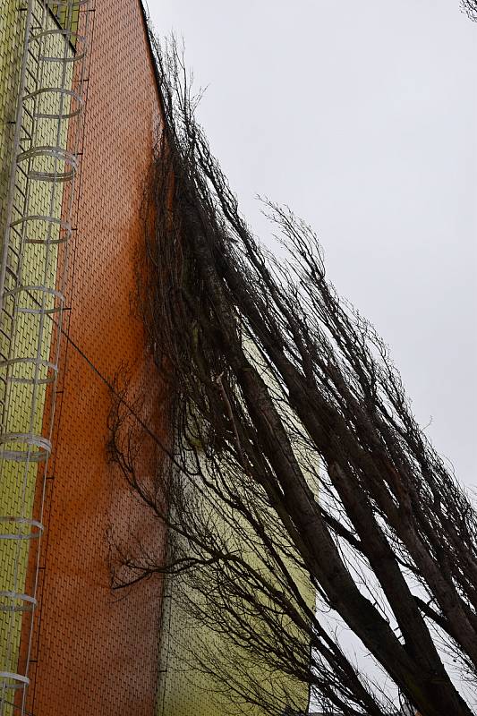 Silný vítr vyvrátil strom na sportovní halu v Rakovníku.
