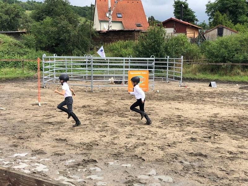 Národních soutěží Working Equitation ve Rtyni nad Bílinou se zúčastnili i koně a jezdci hředelského Jezdeckého klubu Spongilit.