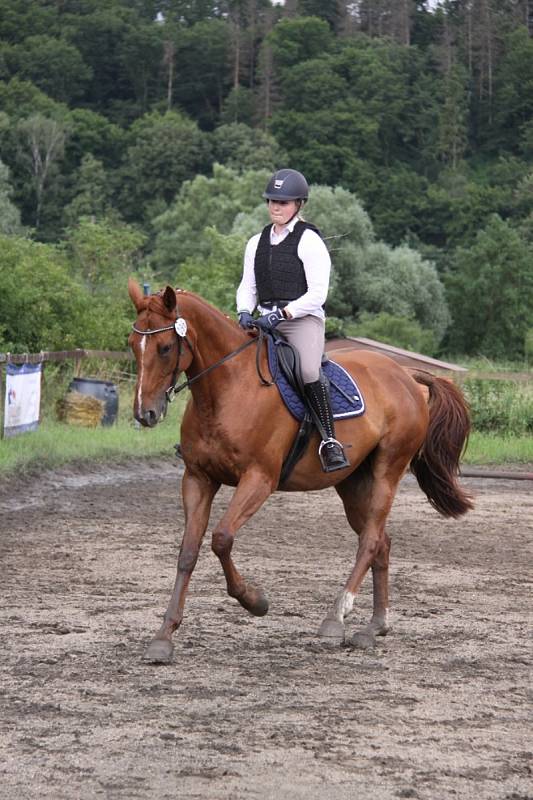 Národních soutěží Working Equitation ve Rtyni nad Bílinou se zúčastnili i koně a jezdci hředelského Jezdeckého klubu Spongilit.