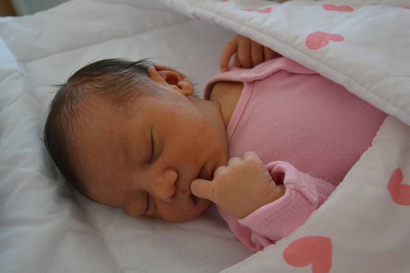 Amálie Malvína Tancošová, Jesenice. Narodila se 10. září 2019. Po porodu vážila 2,9 kg a měřila 48 cm. Rodiče jsou Dominika a Pavel. Sestra Pavlínka a bratr Dominik.