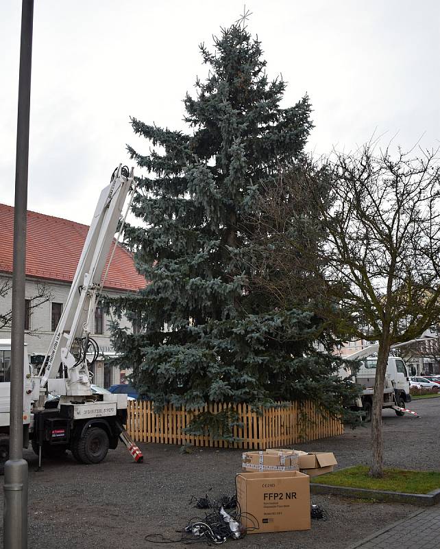 V neděli 21. listopadu byl na Husovo náměstí v Rakovníku z Václav dovezen vánoční strom.