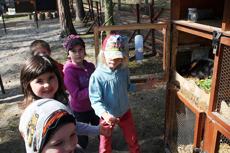 Děti z Mateřské školy Šamotka si přírodní areál školky nemůžou vynachválit.