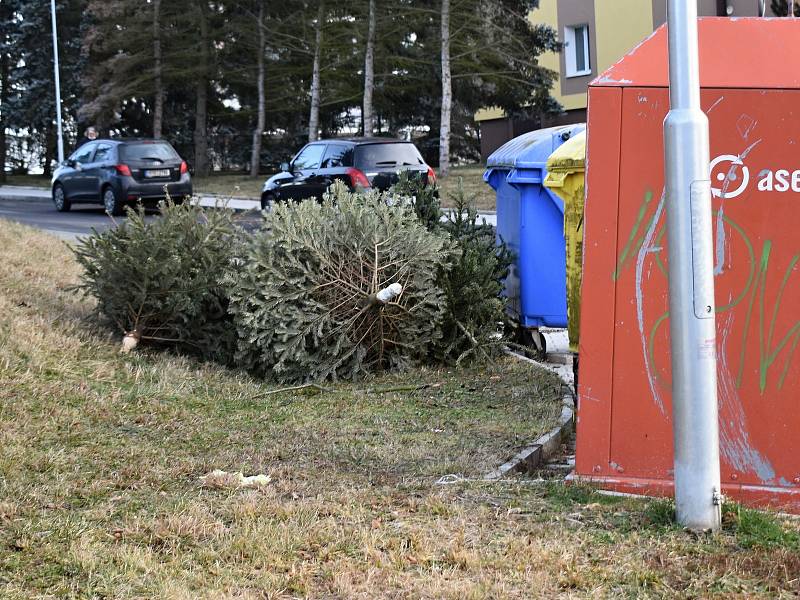 Podle nové vyhlášky odpadového zákona i vyhlášky města by neměly vánoční stromky končit u kontejnerů, přesto se tak děje. Firma Marius Pedersen proto organizuje svozy.