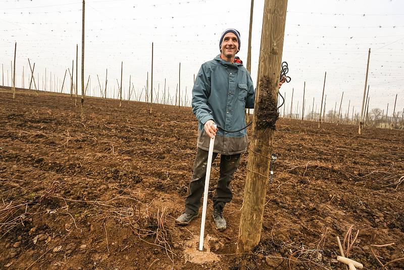 Instalace systému měřící sondy na chmelnici u Mutějovic na Rakovnicku ve středu 24. listopadu 2021.