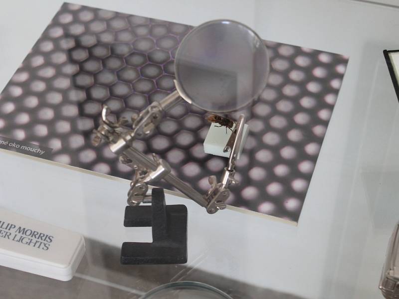 Mikroskopy na výstavě Co oko nevidí v novostrašeckém muzeu