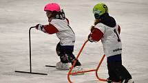 Na rakovnickém zimním stadionu se uskutečnila tradiční náborová akce Týden hokeje.