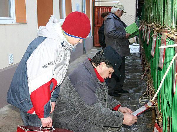 Zimní výstava rakovnických chovatelů 2011