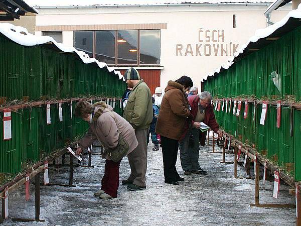 Zimní výstava rakovnických chovatelů 2011