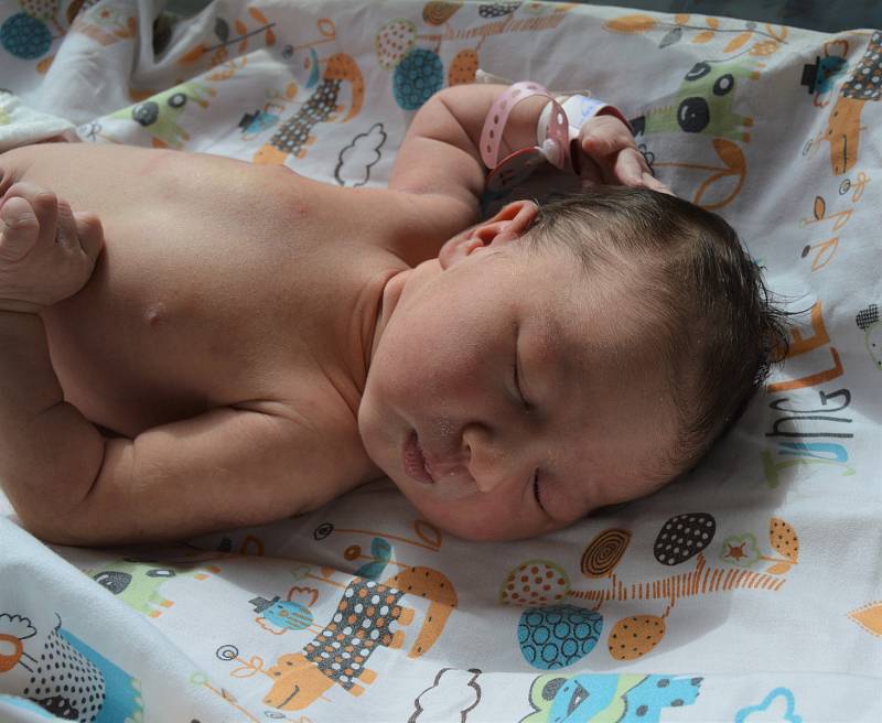ELLIE LEUNG KAM, KLADNO. Narodila se 14. července 2019. Po porodu vážila 3,4kg. Rodiče jsou Pavlína a Michael. Sestra Jessica.