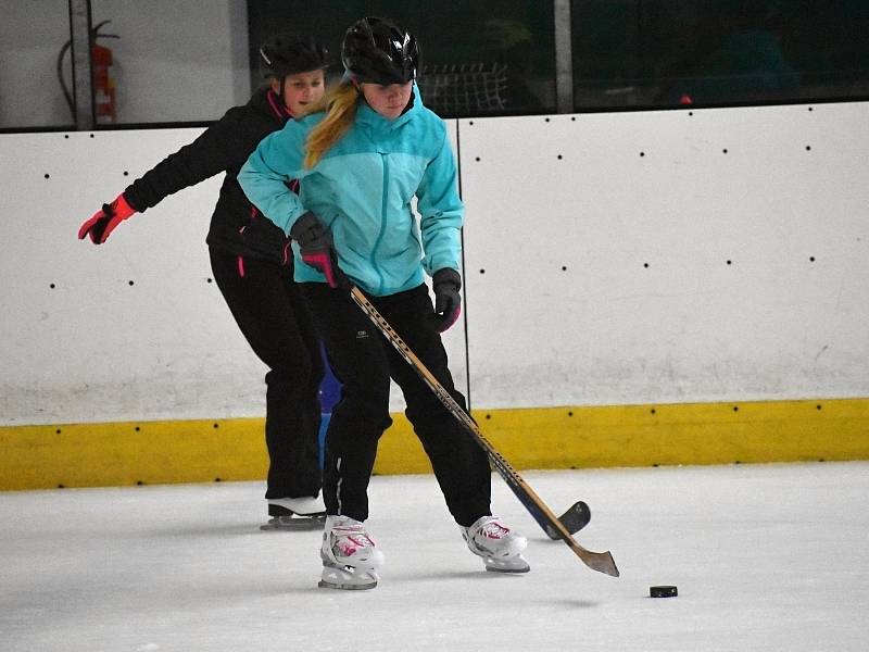 Led na rakovnickém zimním stadionu je zaplněn každé dopoledne školními dětmi. Hokej si v úterý vyzkoušela i sportovní třída novostrašecké základky.