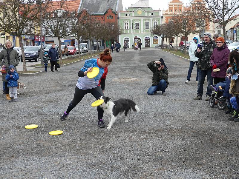 Hlavním tématem masopustu v Rakovníku byla zima.