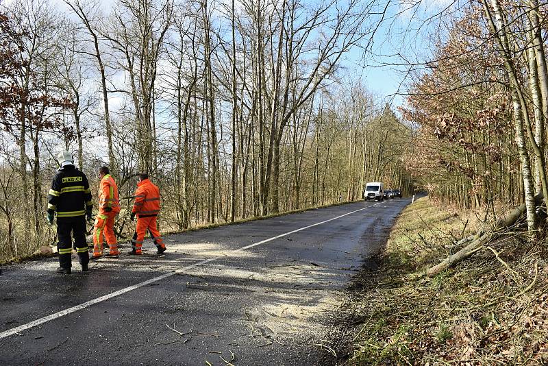 Rakovničtí hasiči v rozmezí několika minut museli odstraňovat dva padlé stromy u Senomat.