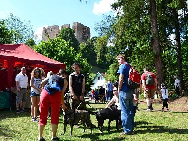 Bitva pod hradem Krakovcem