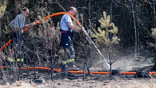 Hasiči bojují s požárem lesa u Olešné 