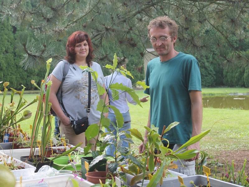 Výstava nasožravých rostlin na botanické zahradě