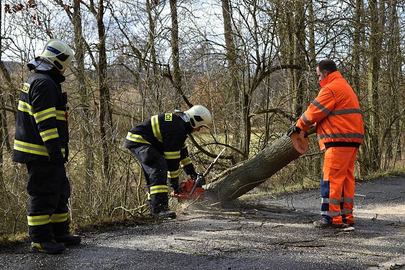 Rakovničtí hasiči v rozmezí několika minut museli odstraňovat dva padlé stromy u Senomat.