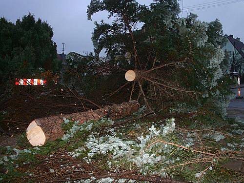 Stavění vánočního stromu Rakovník 2010