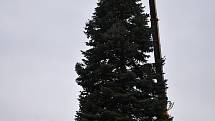 Instalace vánočního stromu na Husově náměstí v Rakovníku.