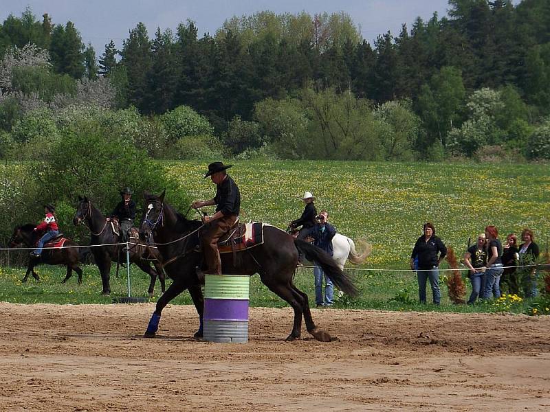 Western Pšovlky