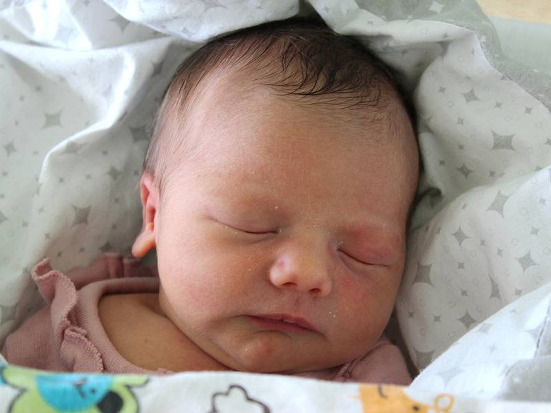 VIKTORIE VALEŠOVÁ, RAKOVNÍK. Narodila se 25. července 2020. Rodiče jsou Markéta a Vladimír. Po porodu vážila 2,7 kg a měřila 48 cm.