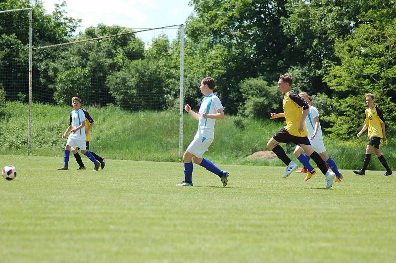 Sportovní škola Plzeň - FC Rokycany 1:8