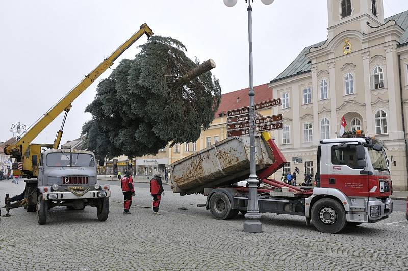 Instalace vánočního stromu v Rokycanech.