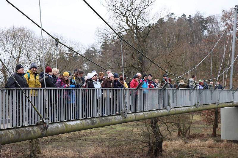 Vycházka ČSOP za zimujícími opeřenci