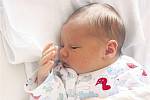 Šimon AUBRECHT z Volduch se ve Fakultní nemocnici v Plzni narodil 19. září. Přišel na svět za deset minut jedenáct dopoledne. Jeho porodní váha činila 3710 gramů, měřil rovných 50 cm. 