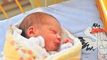 Anna PICKOVÁ ze Sedlecka se narodila 13. října v 10 hodin a 22 minut. Maminka Marcela Kopelantová a tatínek Michal Picek věděli dopředu, že jejich první dítě bude holčička. Anička vážila 3390 gramů, měřila 48 cm.