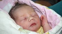 ANNA TUPĚJEVOVÁ z Tymákova se narodila 27. června ráno, pět minut po páté. Maminka Veronika a tatínek Petr znali pohlaví svého prvního dítěte dopředu. Tatínek byl u porodu pomáhat, a tak míry 3200 gramů a 49 cm viděl na vlastní oči.