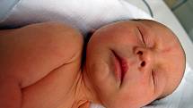 Filip František ŠPILER z Blovic bude mít v rodném listě datum 2. února 2010. Narodil se ráno v 8.22 hodin. Jeho porodní míry byly 3900 gramů a 52 cm. Doma se na něj těší Viktorka (3,5 roku).