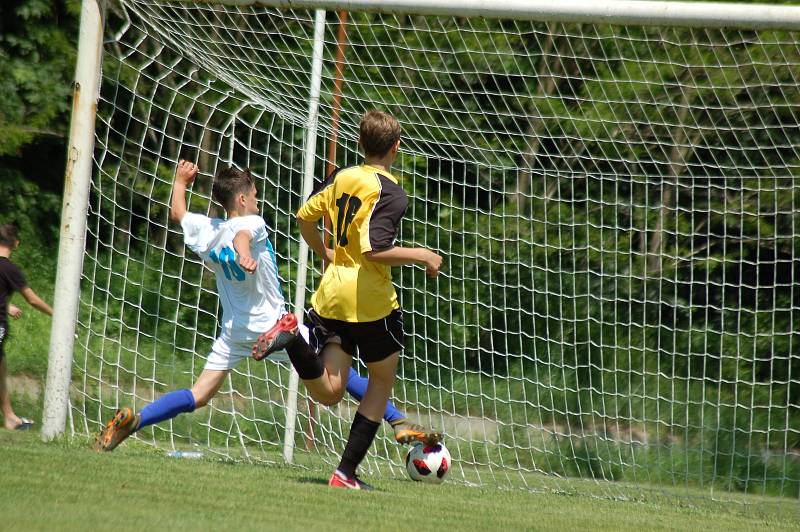 Sportovní škola Plzeň - FC Rokycany 1:8