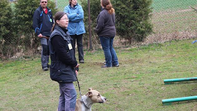 ÚČASTNÍCI Jarního závodu psů v Hrádku sledovali výkony svých soupeřů ve třech disciplinách.
