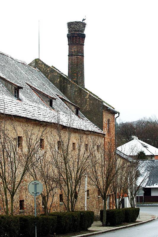 Čáp bílý se po zimě vrátil do Mirošova na své tradiční místo na komíně staré sladovny nedaleko zámku. Z teplých krajů přiletěl přibližně ve stejném čase jako v loňském roce.
