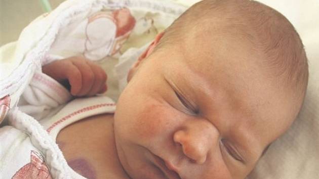 Karolína HROMADOVÁ z Rokycan se narodila 12. ledna v 10 hodin a 50 minut. Její porodní váha činila  rovných 3500 gramů, měřila 50 cm. 